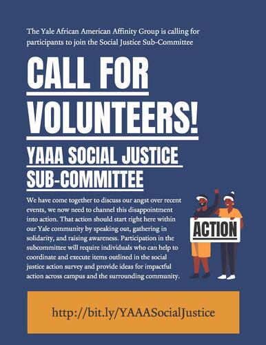 Social Justice Sub-Committee Volunteer Flyer